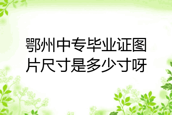 鄂州中专毕业证图片尺寸是多少寸呀