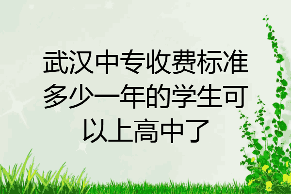 武汉中专收费标准多少一年的学生可以上高中了