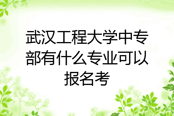 武汉工程大学中专部有什么专业可以报名考