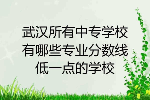 武汉所有中专学校有哪些专业分数线低一点的学校