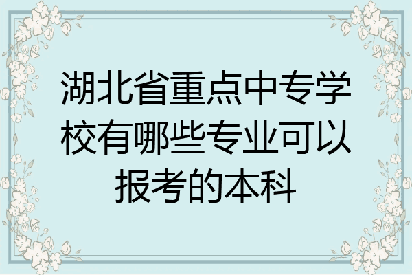湖北省重点中专学校有哪些专业可以报考的本科