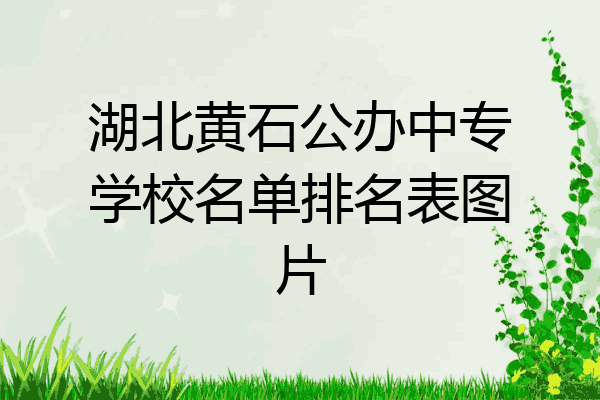 湖北黄石公办中专学校名单排名表图片