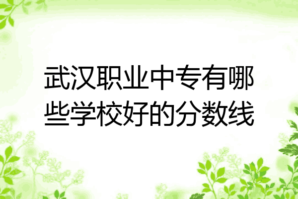 武汉职业中专有哪些学校好的分数线