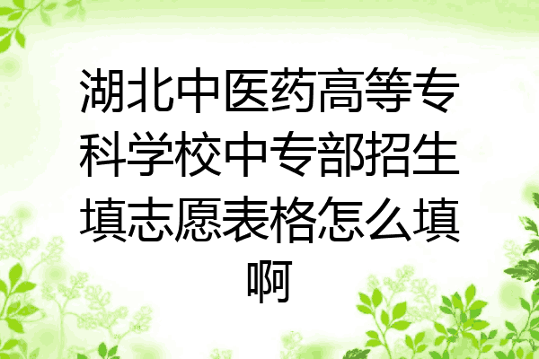 湖北中医药高等专科学校中专部招生填志愿表格怎么填啊