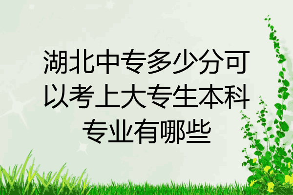 湖北中专多少分可以考上大专生本科专业有哪些