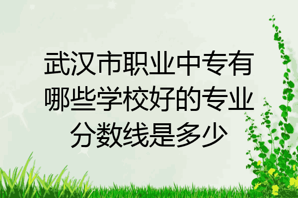 武汉市职业中专有哪些学校好的专业分数线是多少