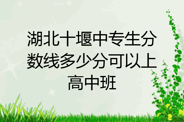 湖北十堰中专生分数线多少分可以上高中班
