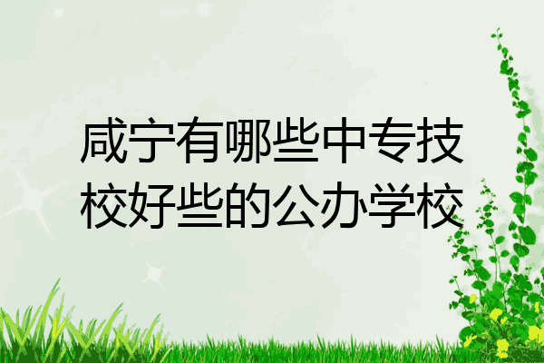 咸宁有哪些中专技校好些的公办学校