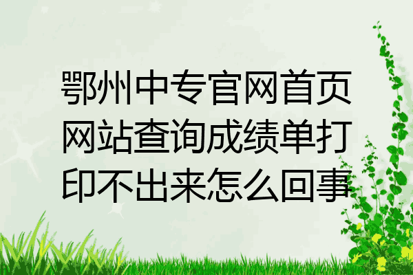 鄂州中专官网首页网站查询成绩单打印不出来怎么回事