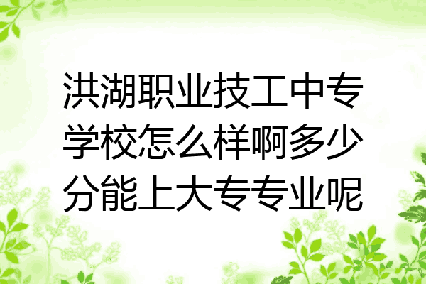 洪湖职业技工中专学校怎么样啊多少分能上大专专业呢