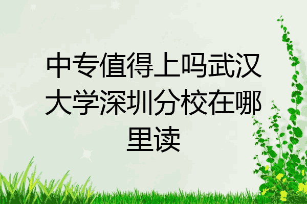 中专值得上吗武汉大学深圳分校在哪里读