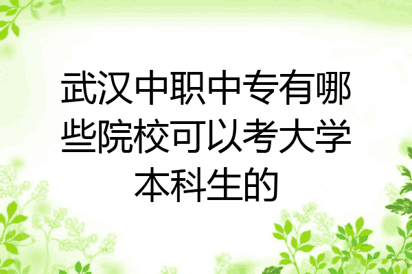 武汉中职中专有哪些院校可以考大学本科生的