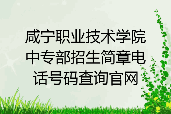 咸宁职业技术学院中专部招生简章电话号码查询官网