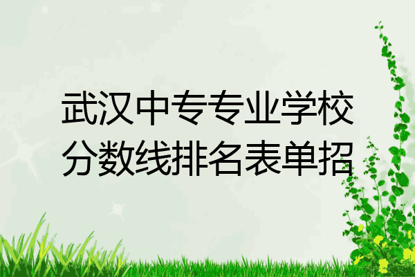 武汉中专专业学校分数线排名表单招