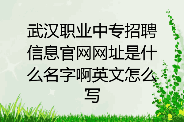 武汉职业中专招聘信息官网网址是什么名字啊英文怎么写