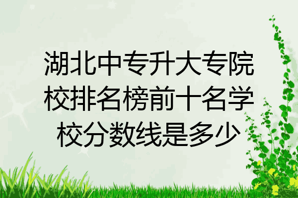 湖北中专升大专院校排名榜前十名学校分数线是多少