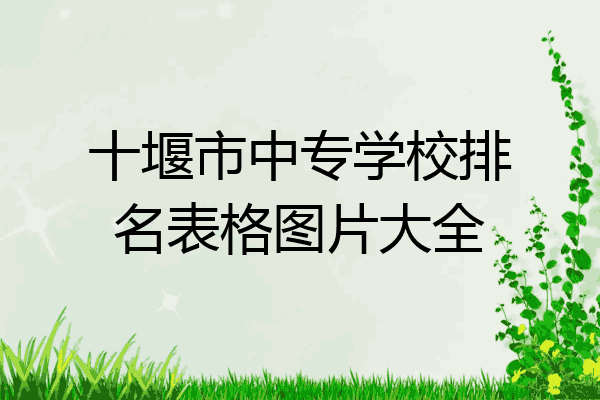 十堰市中专学校排名表格图片大全