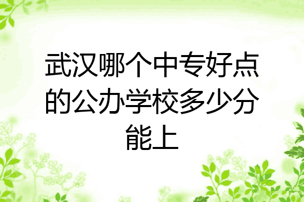 武汉哪个中专好点的公办学校多少分能上
