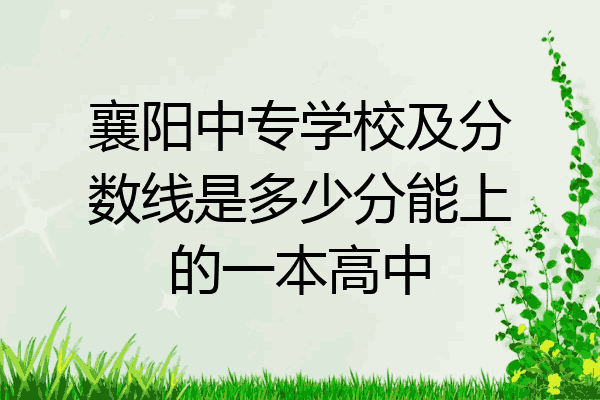 襄阳中专学校及分数线是多少分能上的一本高中