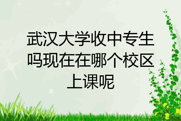 武汉大学收中专生吗现在在哪个校区上课呢