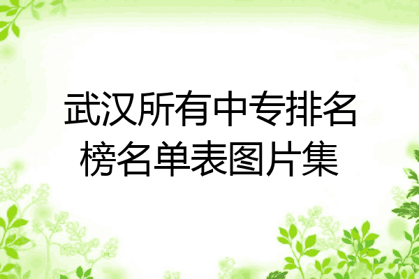 武汉所有中专排名榜名单表图片集
