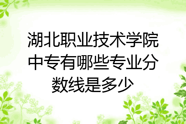 湖北职业技术学院中专有哪些专业分数线是多少