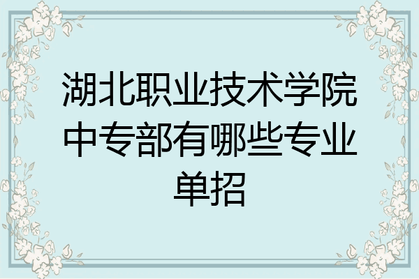 湖北职业技术学院中专部有哪些专业单招