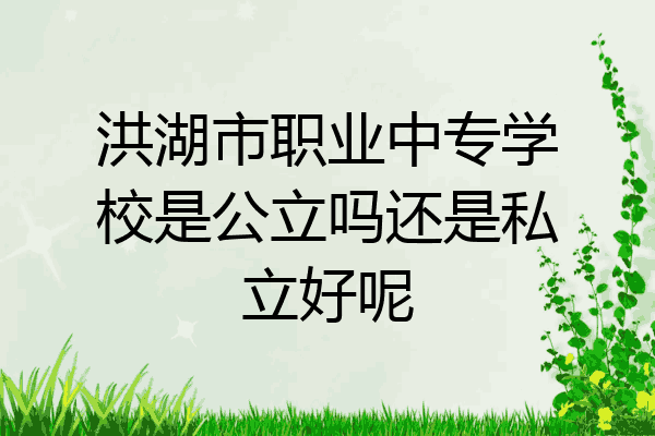 洪湖市职业中专学校是公立吗还是私立好呢