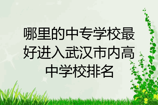 哪里的中专学校最好进入武汉市内高中学校排名
