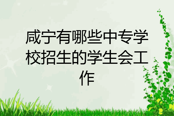 咸宁有哪些中专学校招生的学生会工作