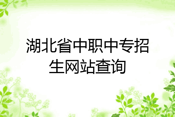 湖北省中职中专招生网站查询