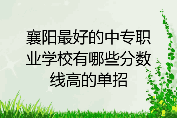 襄阳最好的中专职业学校有哪些分数线高的单招