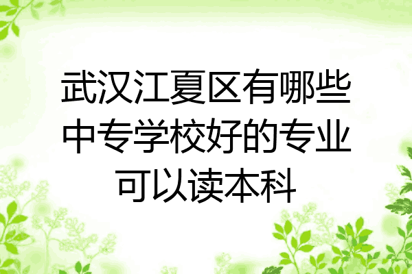 武汉江夏区有哪些中专学校好的专业可以读本科