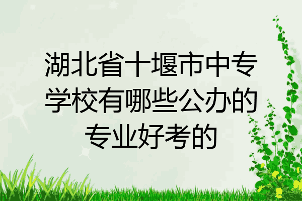 湖北省十堰市中专学校有哪些公办的专业好考的