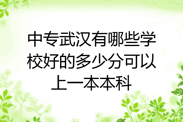 中专武汉有哪些学校好的多少分可以上一本本科