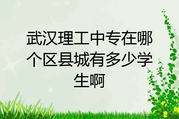 武汉理工中专在哪个区县城有多少学生啊