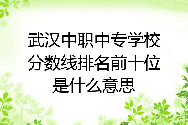 武汉中职中专学校分数线排名前十位是什么意思