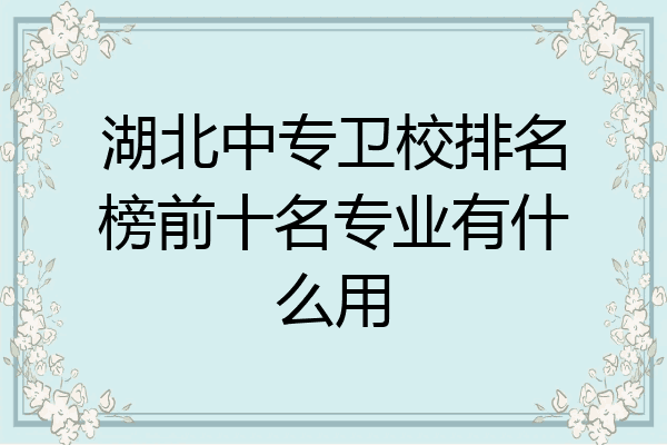 湖北中专卫校排名榜前十名专业有什么用