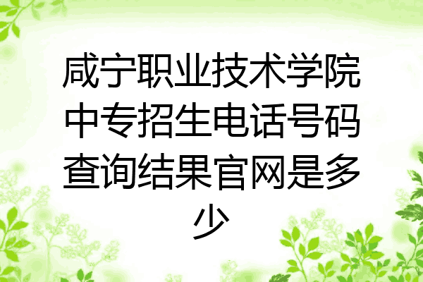 咸宁职业技术学院中专招生电话号码查询结果官网是多少