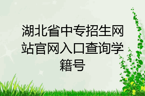 湖北省中专招生网站官网入口查询学籍号