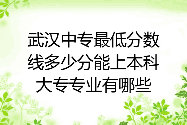 武汉中专最低分数线多少分能上本科大专专业有哪些