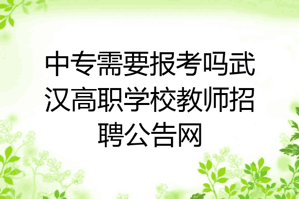 中专需要报考吗武汉高职学校教师招聘公告网