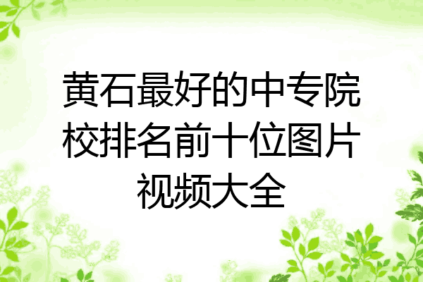 黄石最好的中专院校排名前十位图片视频大全