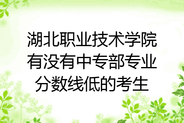 湖北职业技术学院有没有中专部专业分数线低的考生