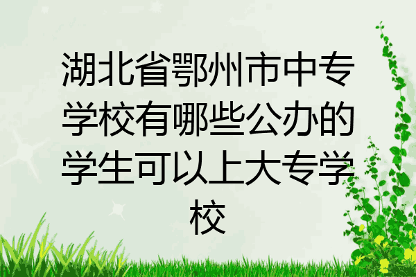 湖北省鄂州市中专学校有哪些公办的学生可以上大专学校