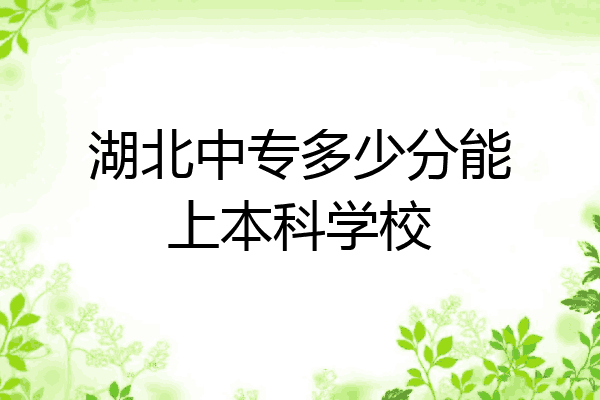 湖北中专多少分能上本科学校