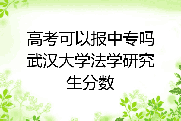 高考可以报中专吗武汉大学法学研究生分数