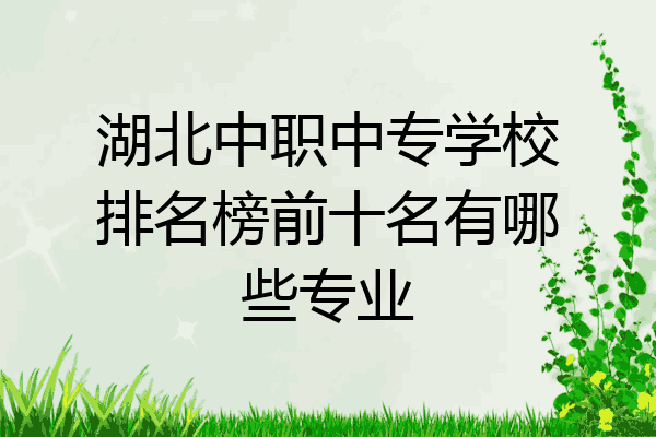 湖北中职中专学校排名榜前十名有哪些专业