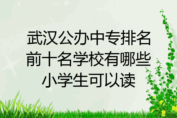 武汉公办中专排名前十名学校有哪些小学生可以读
