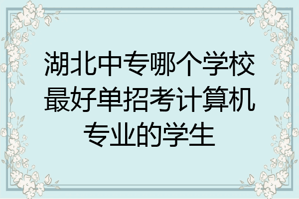 湖北中专哪个学校最好单招考计算机专业的学生